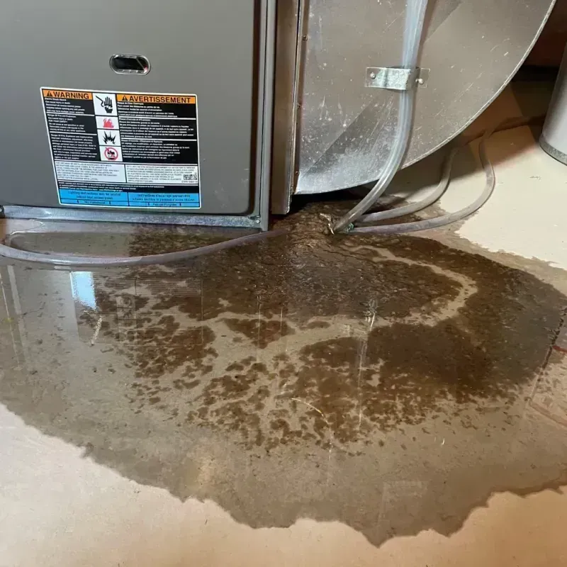 Appliance Leak Cleanup in La Salle, CO